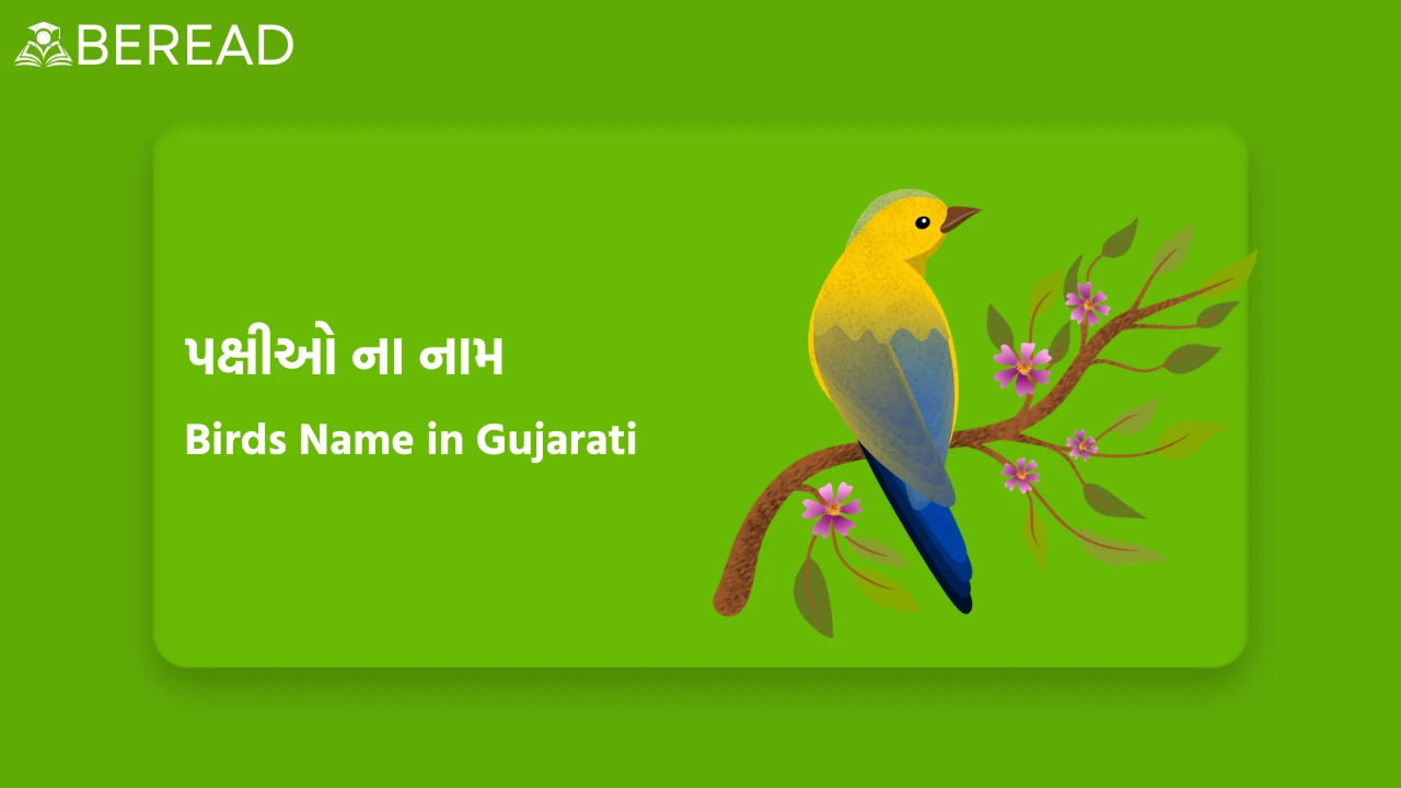 Birds Name in Gujarati
