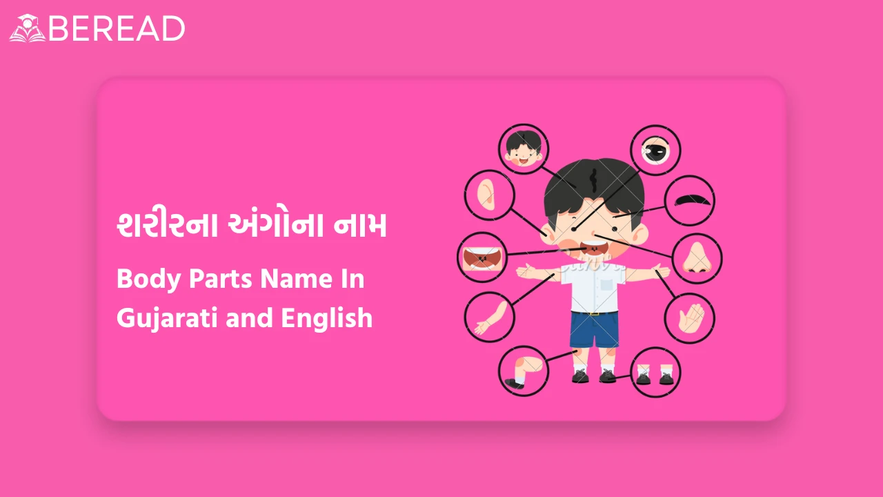 Body Parts Name In Gujarati