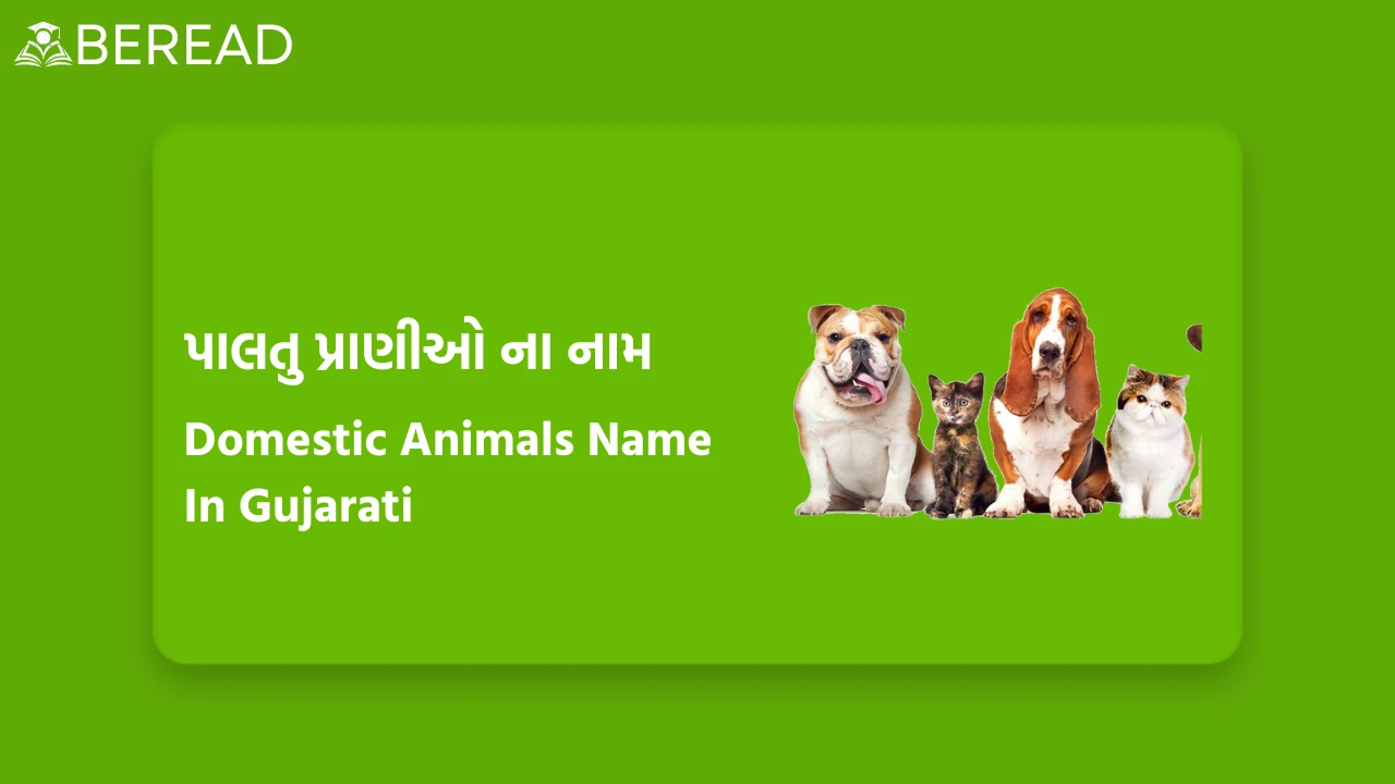 Domestic Animals Name In Gujarati