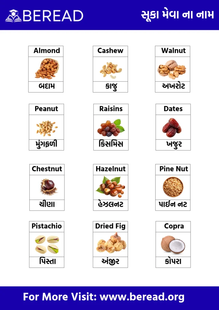 Dry Fruits Name in Gujarati