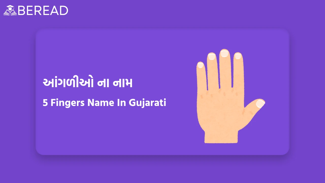 Fingers Name In Gujarati