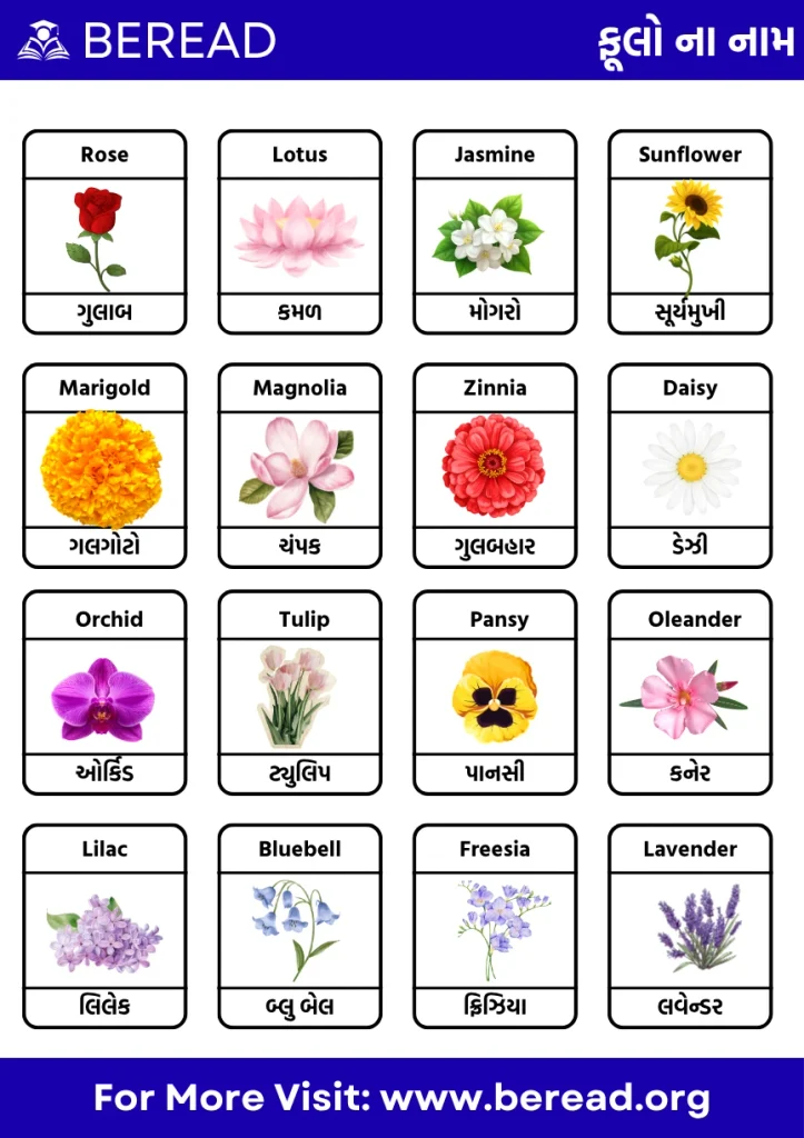 Flowers Name in Gujarati