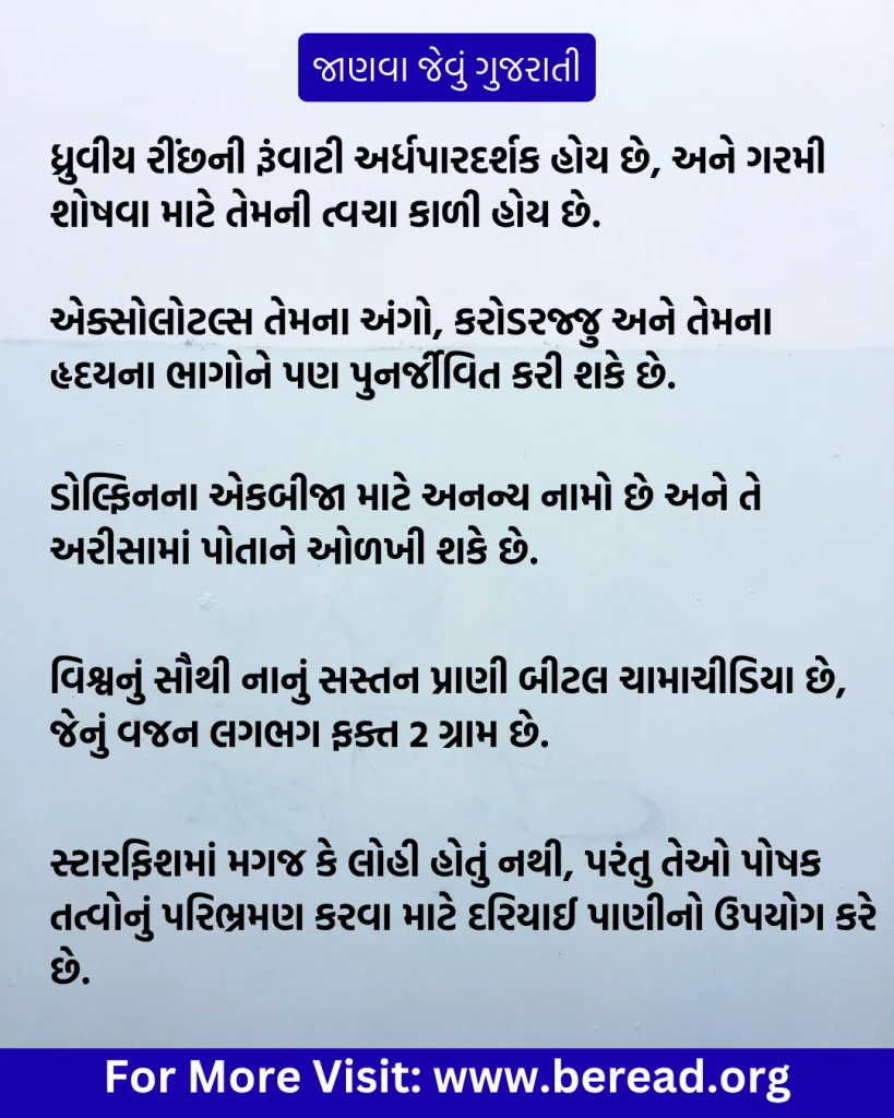 Janva Jevu In Gujarati