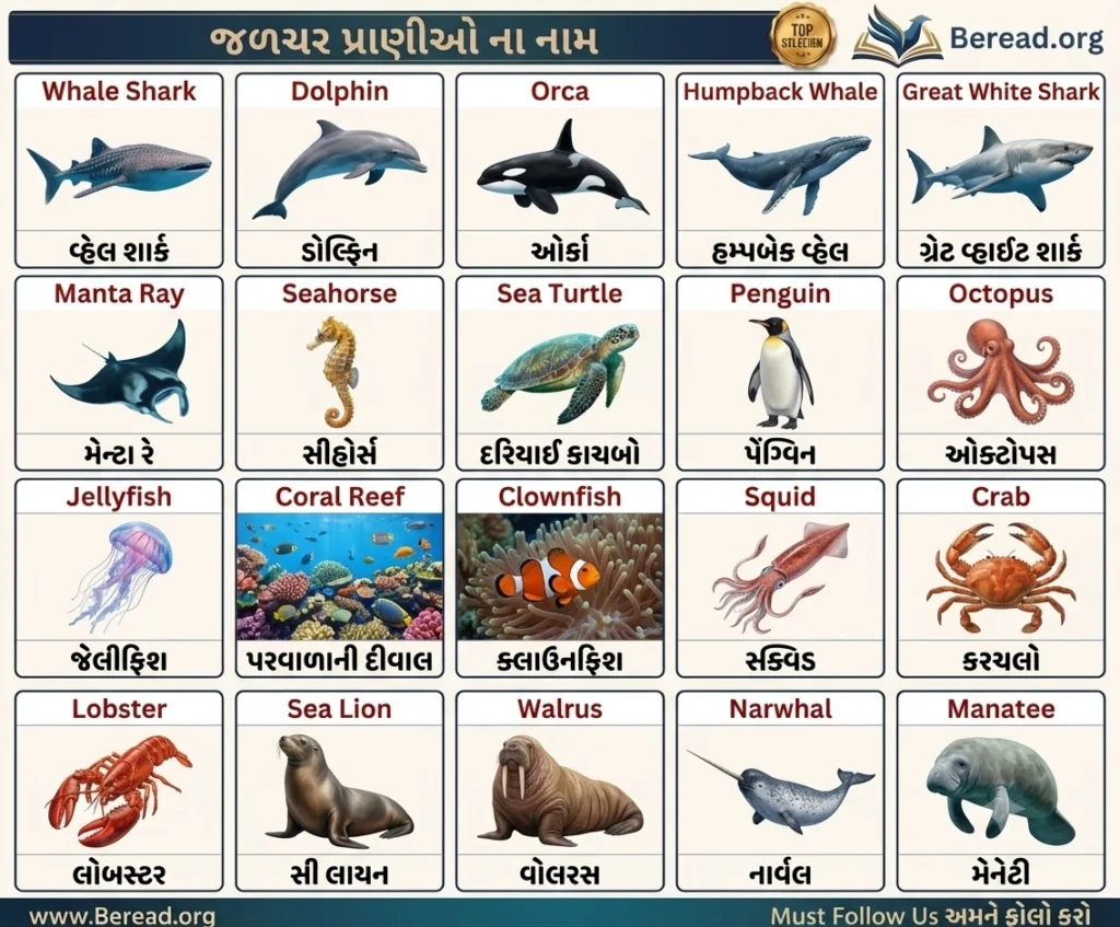 Water Animals Name In Gujarati