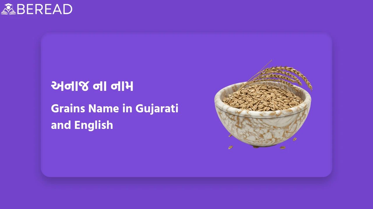 અનાજ ના નામ