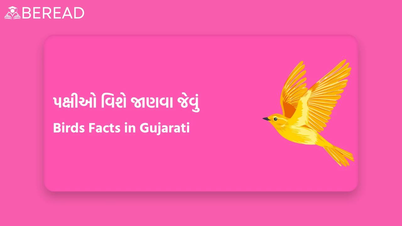 પક્ષીઓ વિશે જાણવા જેવું